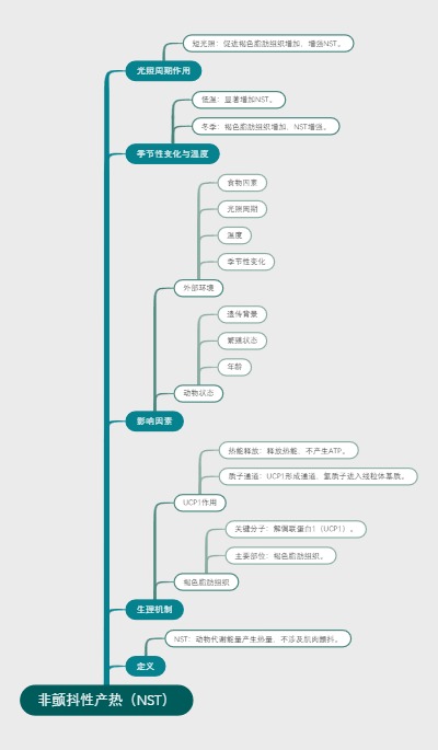 非颤抖性产热（NST）