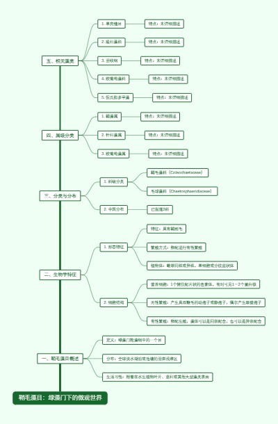 鞘毛藻目：绿藻门下的微观世界