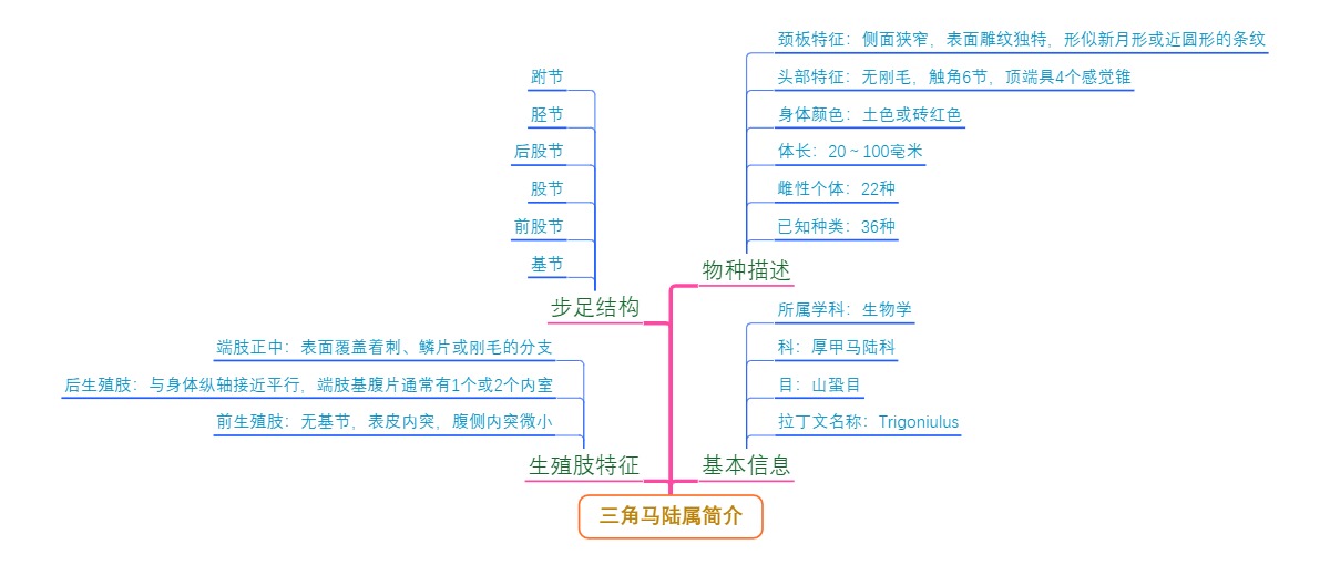 三角马陆属简介