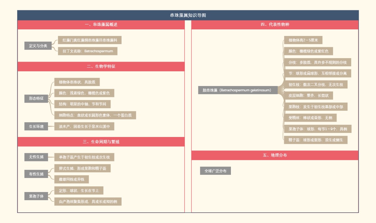串珠藻属知识导图