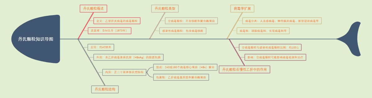 丹氏颗粒知识导图