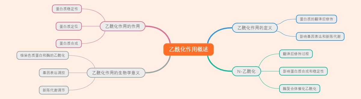 乙酰化作用概述