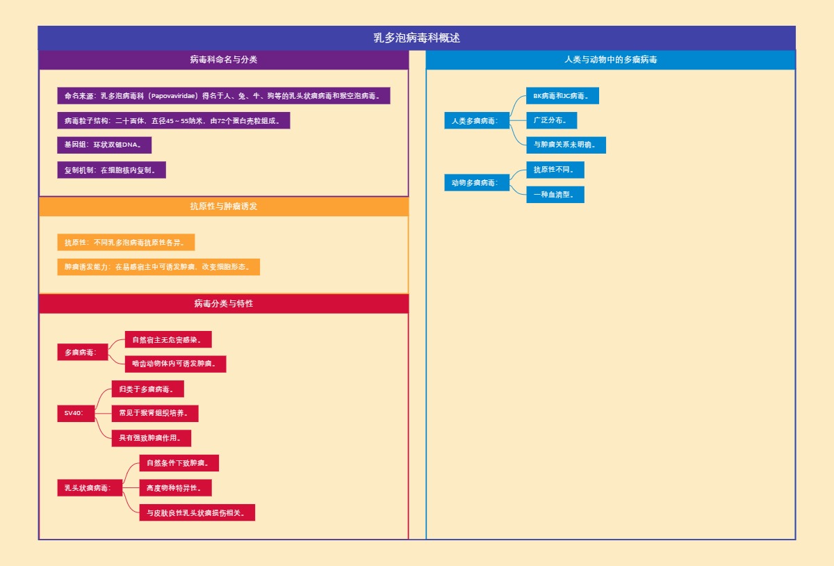 乳多泡病毒科概述