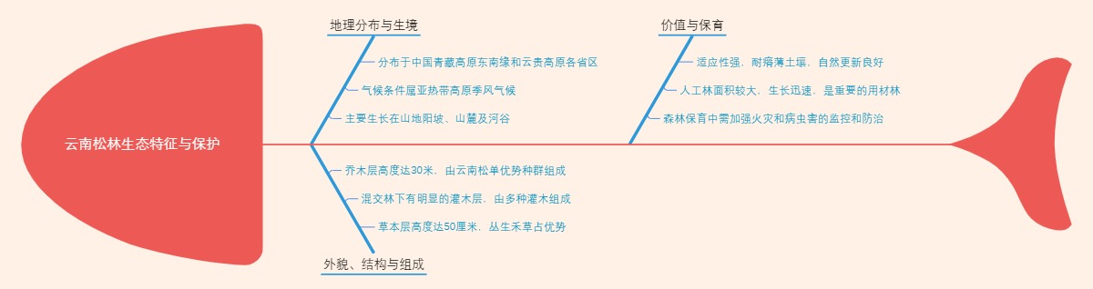 云南松林生态特征与保护