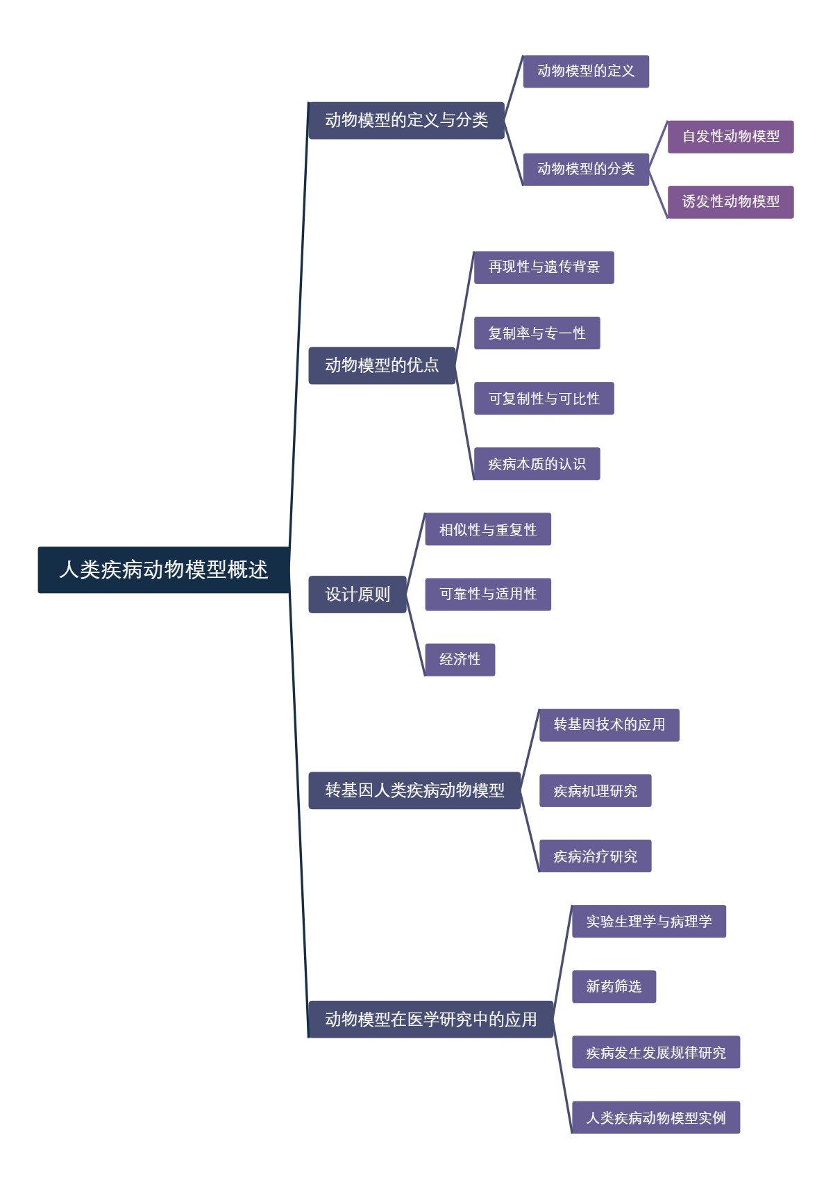 人类疾病动物模型概述