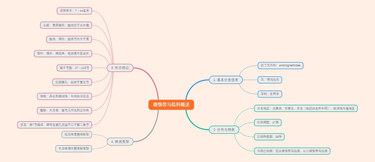 雄颚带马陆科概述