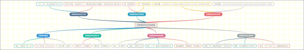 似蜈蚣科的自然奥秘