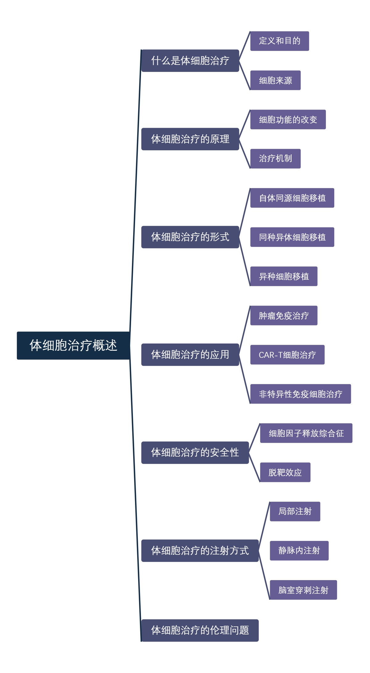 体细胞治疗概述