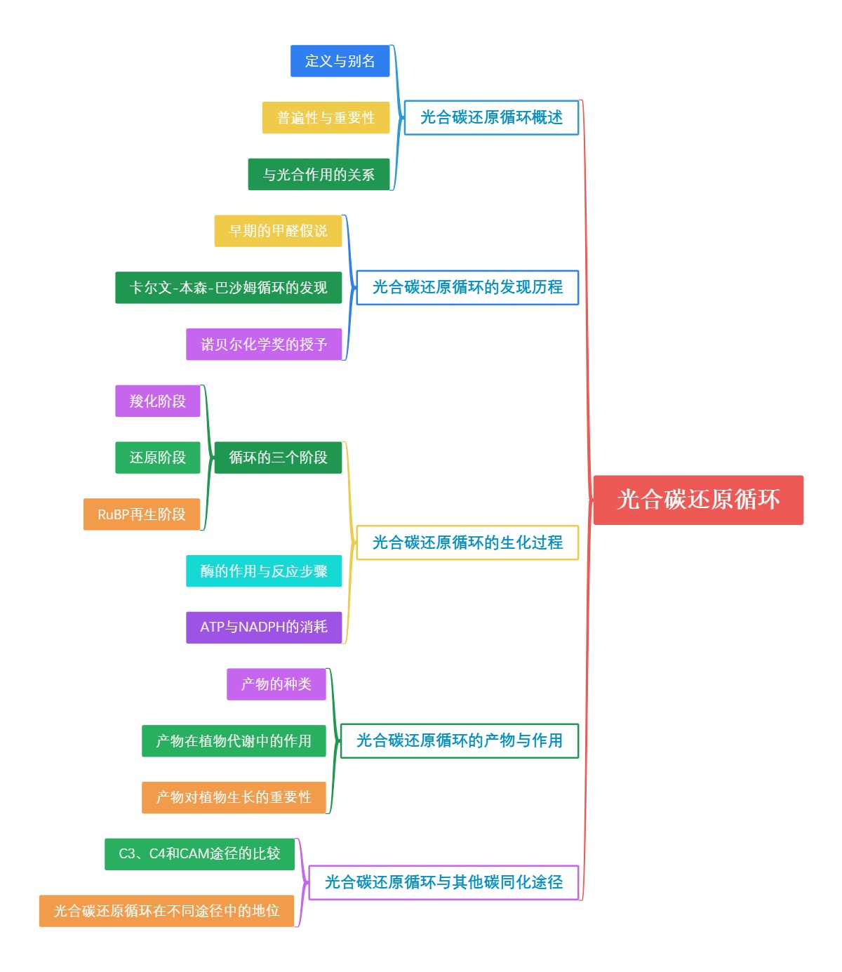 光合碳还原循环