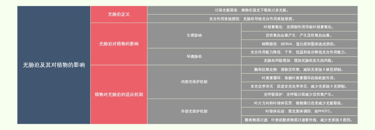 光胁迫及其对植物的影响
