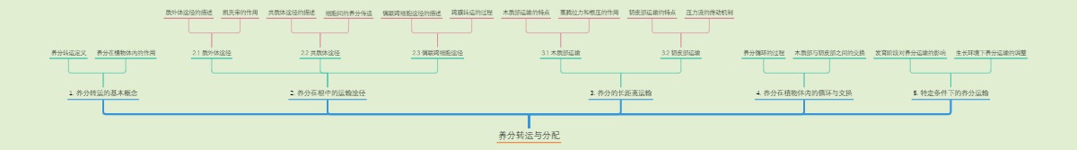 养分转运与分配