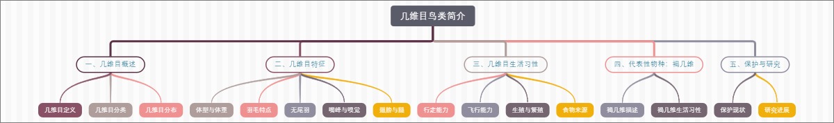 几维目鸟类简介