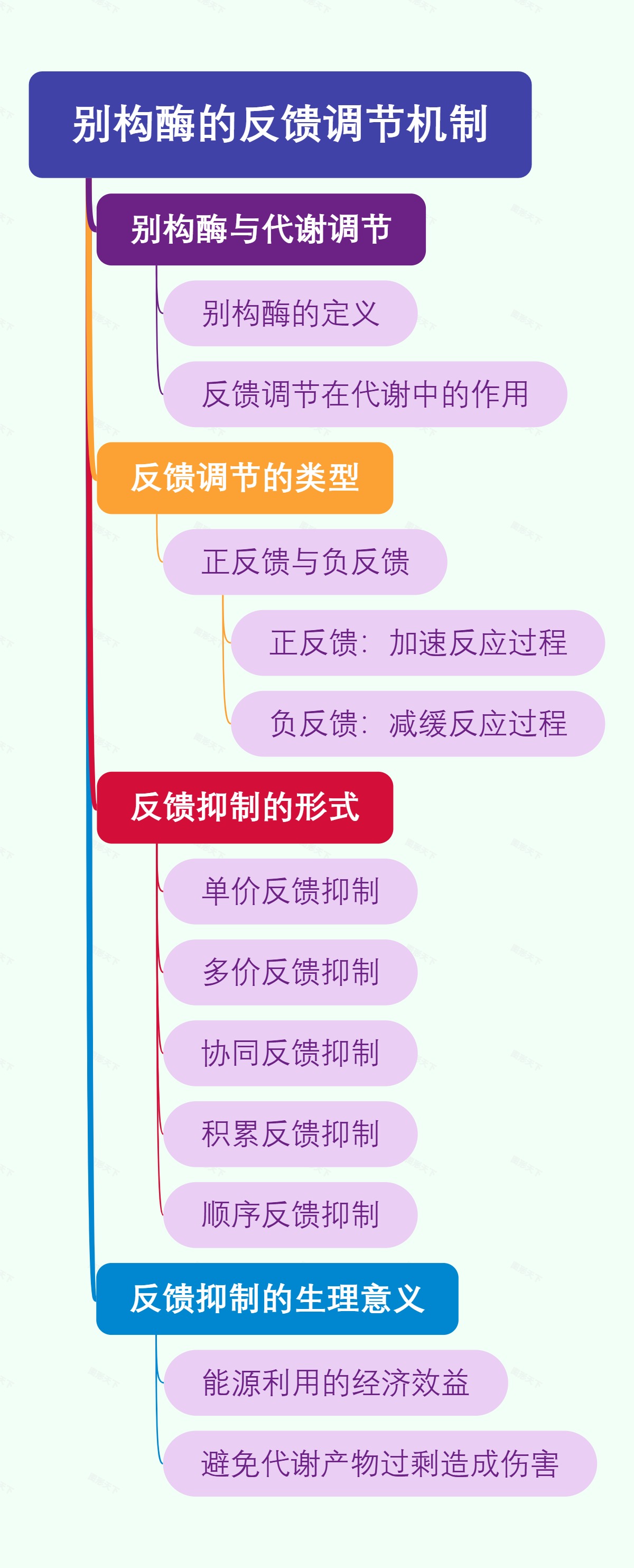 别构酶的反馈调节机制