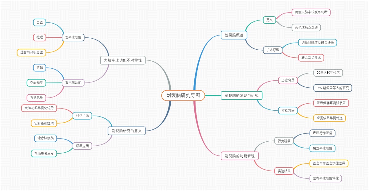 割裂脑研究导图