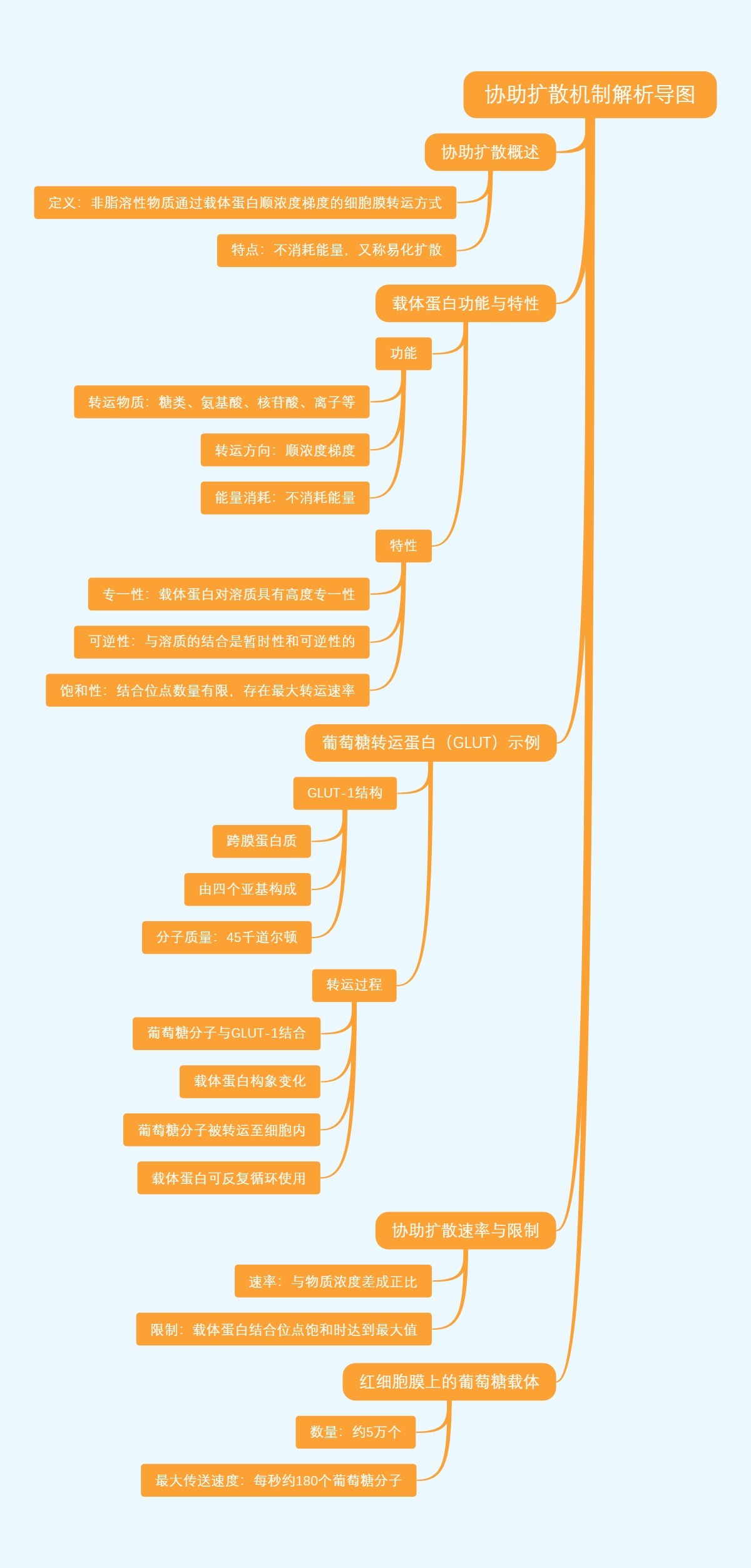 协助扩散机制解析导图