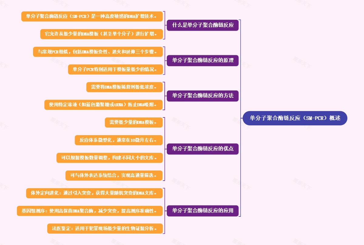 单分子聚合酶链反应（SM-PCR）概述
