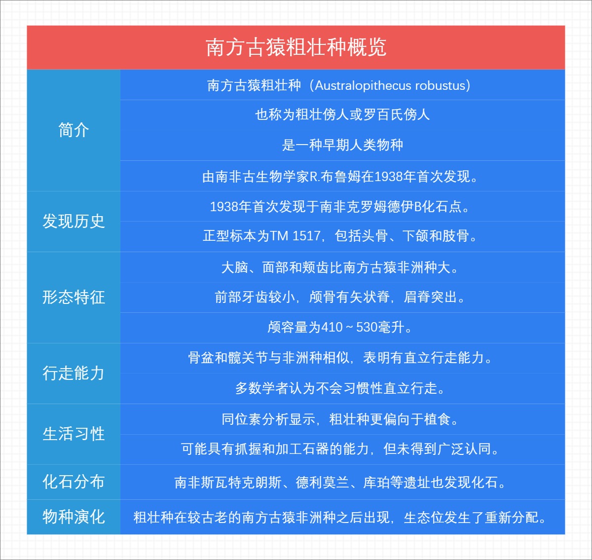 南方古猿粗壮种概览