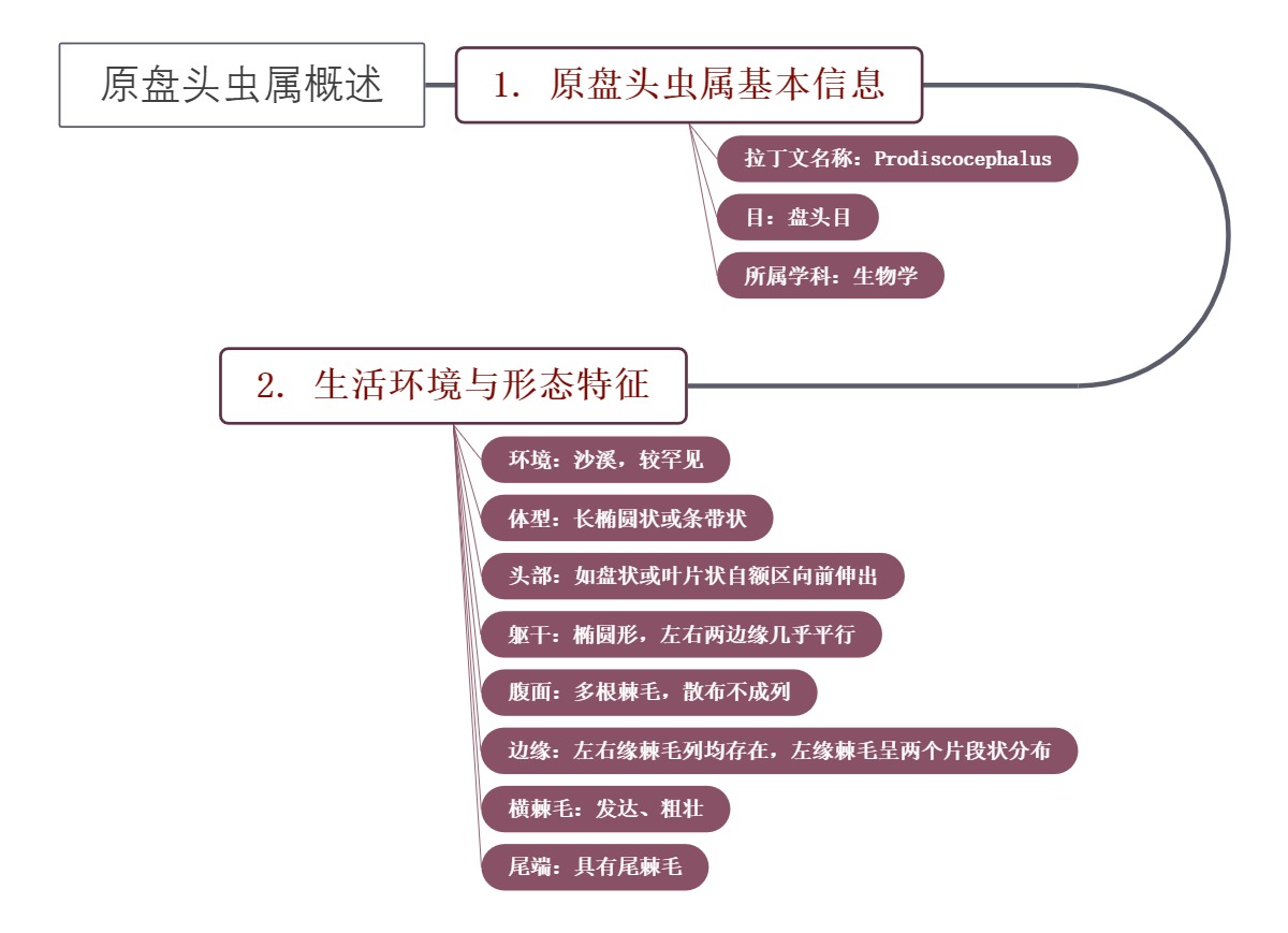 原盘头虫属概述