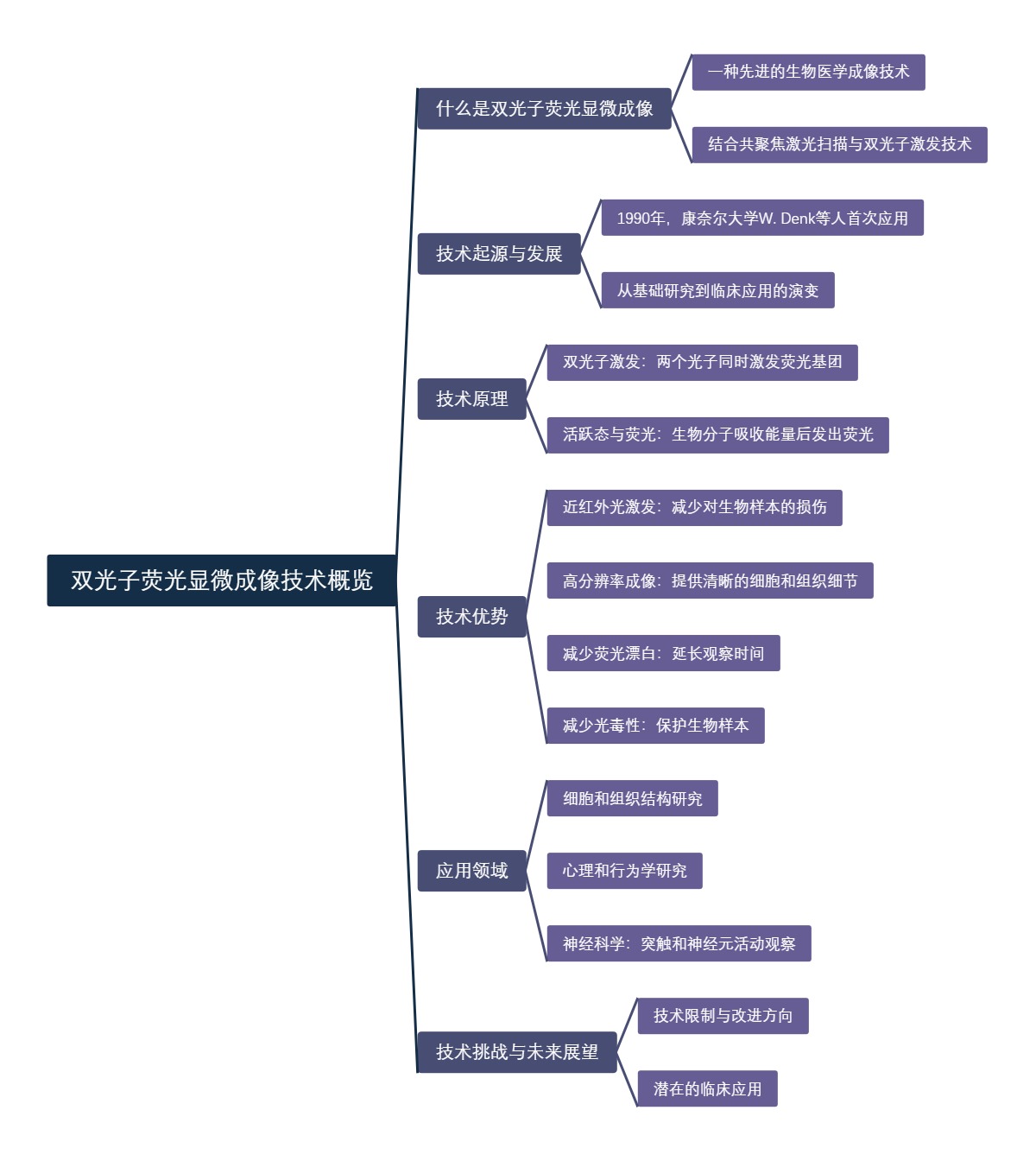 双光子荧光显微成像技术概览