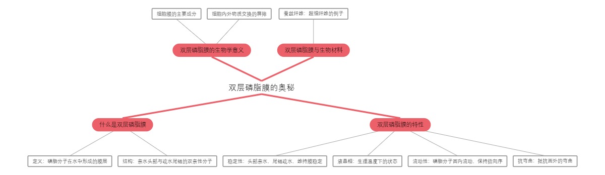 双层磷脂膜的奥秘