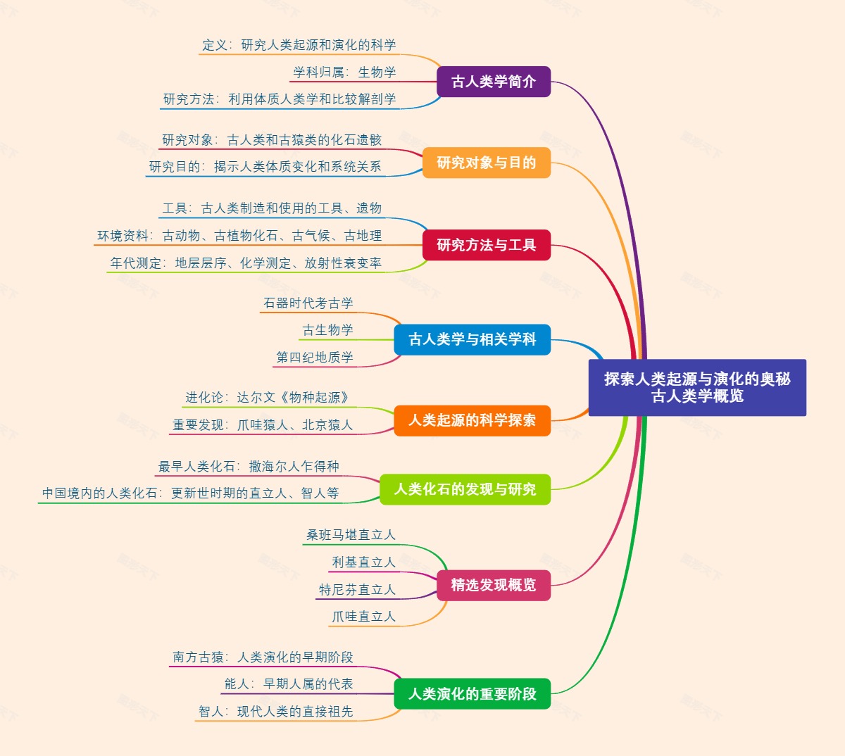 探索人类起源与演化的奥秘：古人类学概览