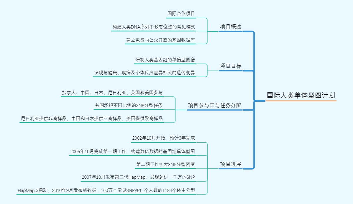 国际人类单体型图计划