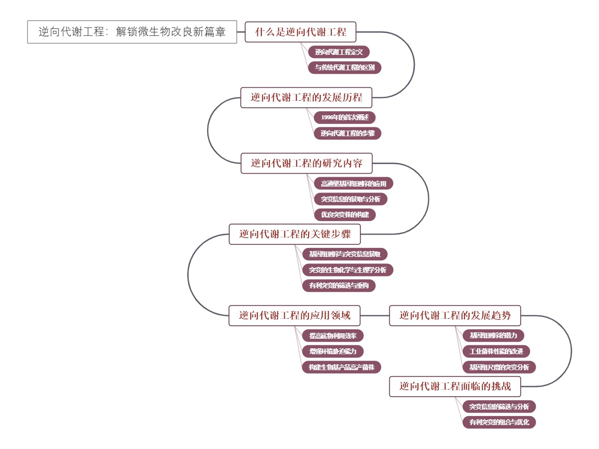 逆向代谢工程：解锁微生物改良新篇章