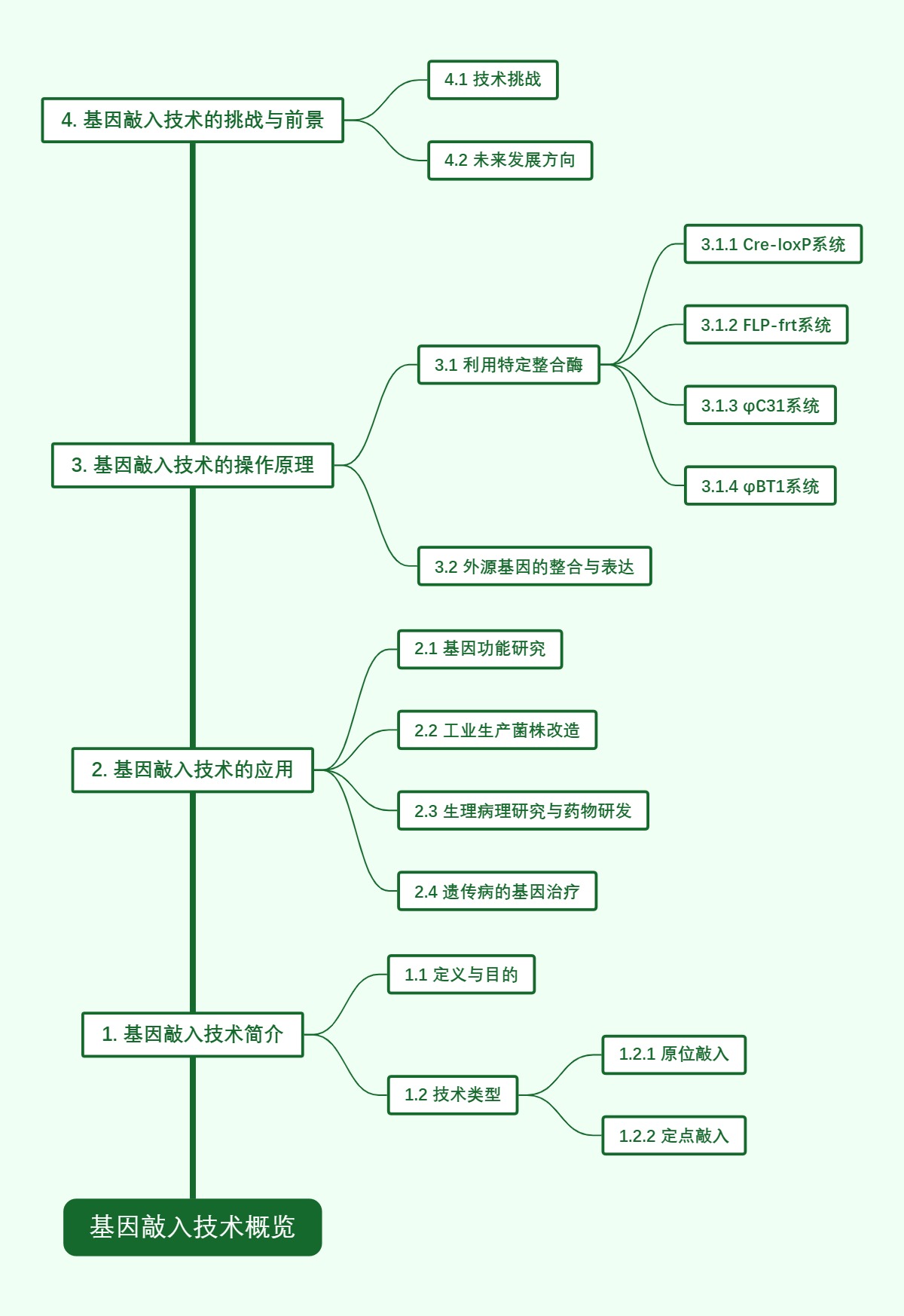 基因敲入技术概览