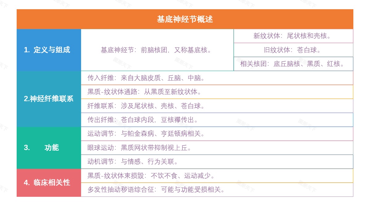 基底神经节概述