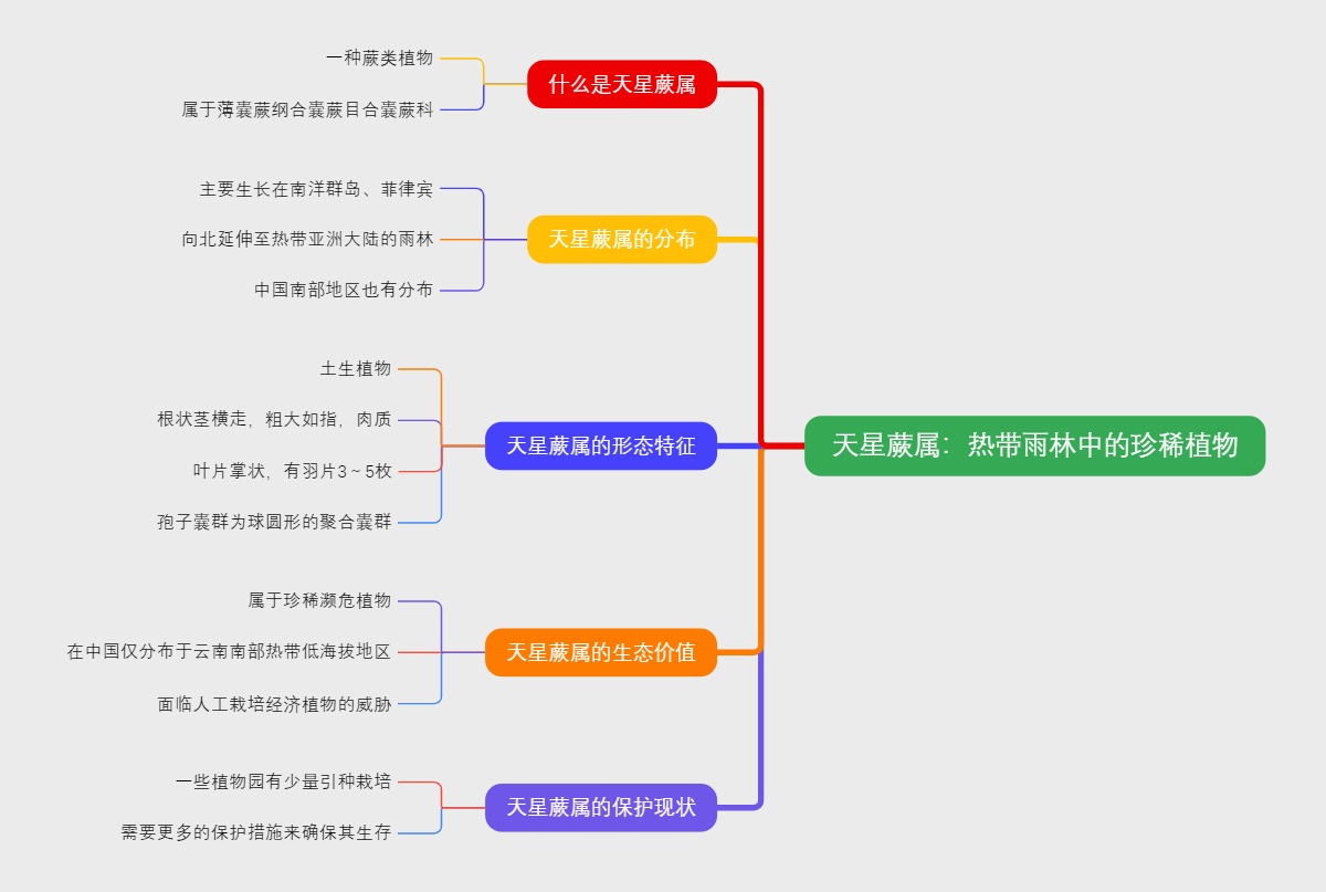 天星蕨属：热带雨林中的珍稀植物