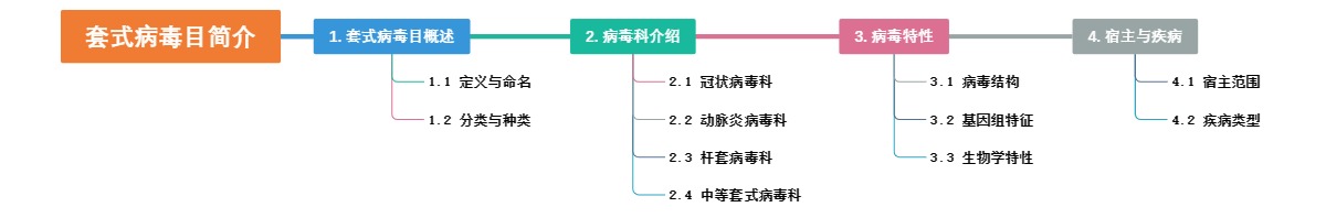 套式病毒目简介