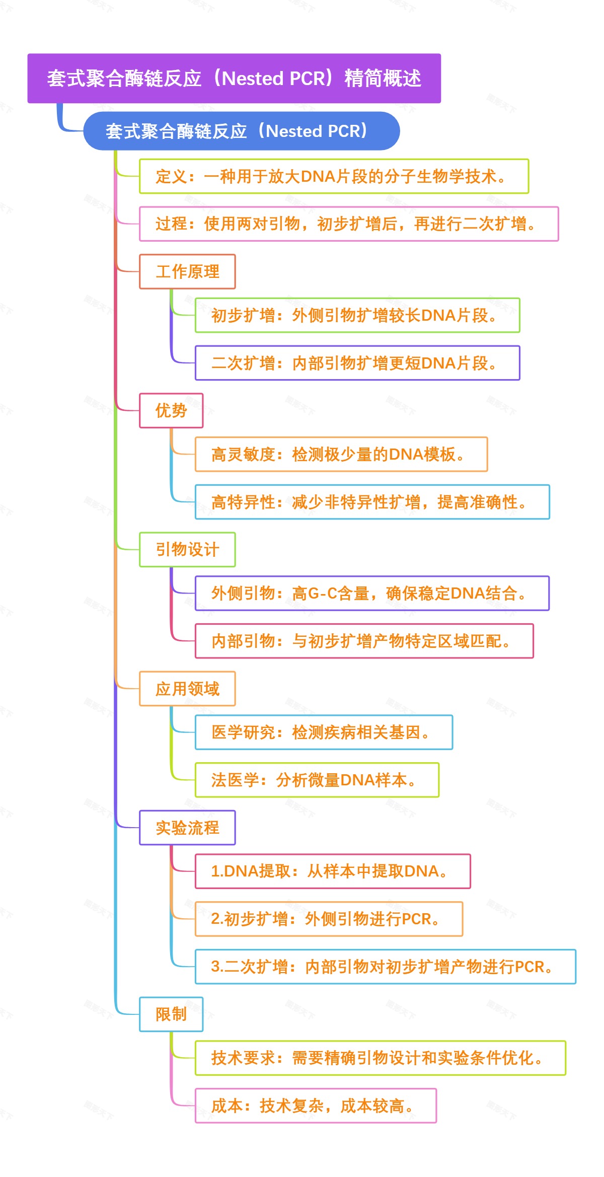 套式聚合酶链反应（Nested PCR）概述