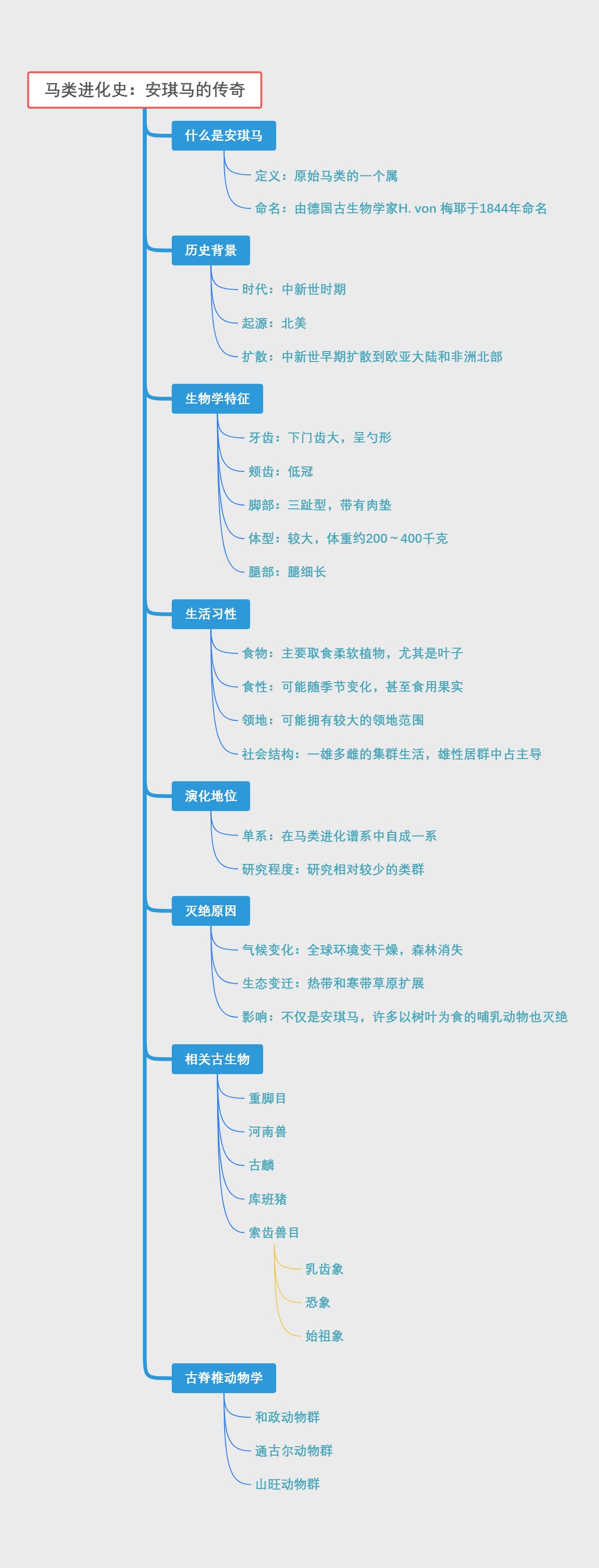 马类进化史：安琪马的传奇