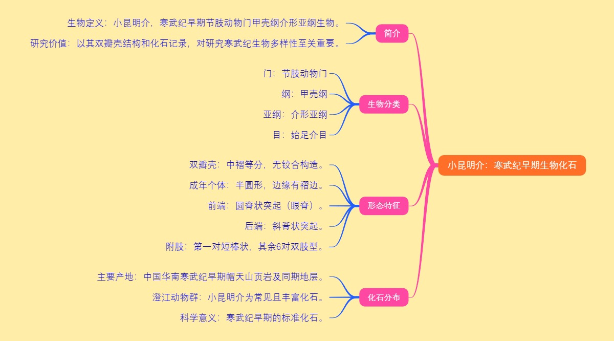 小昆明介：寒武纪早期的生物化石