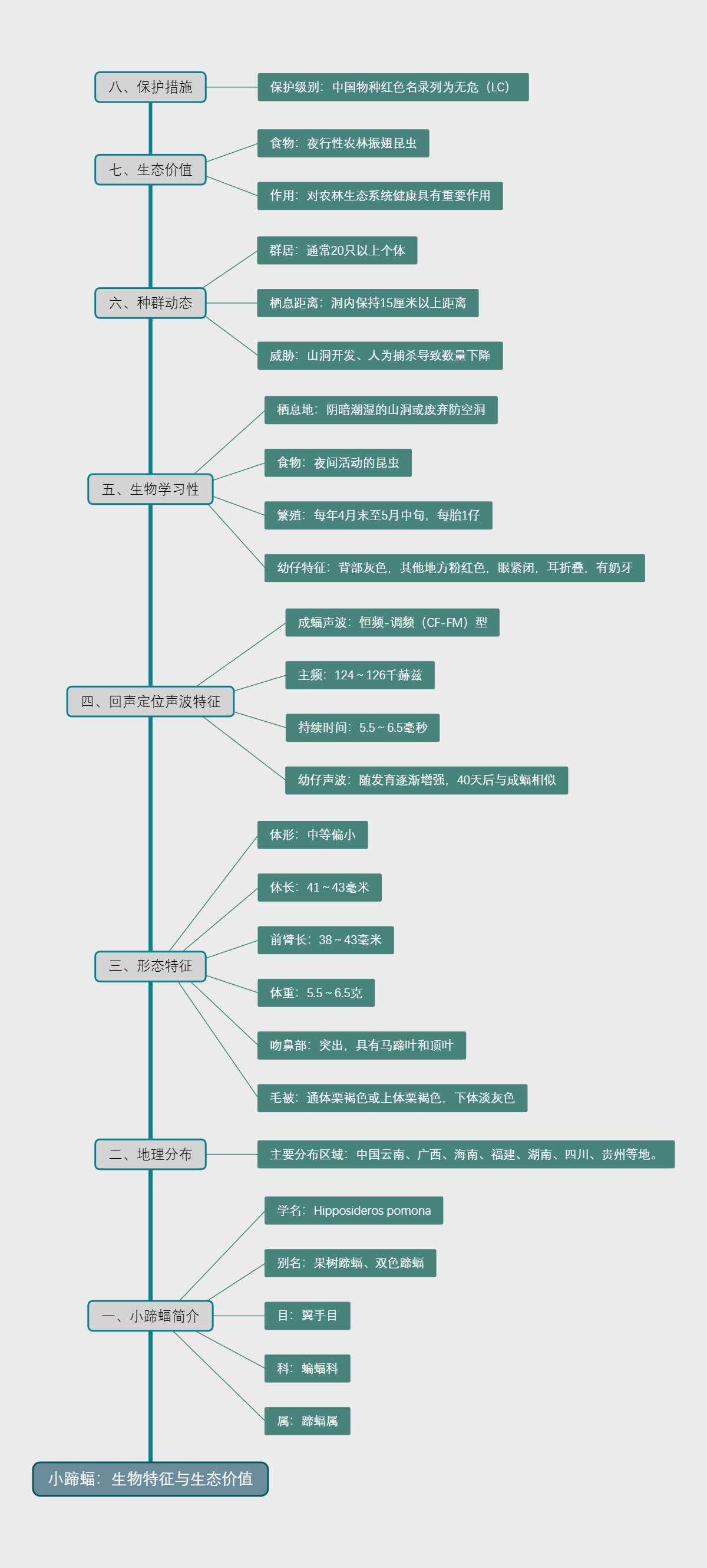 小蹄蝠：生物特征与生态价值