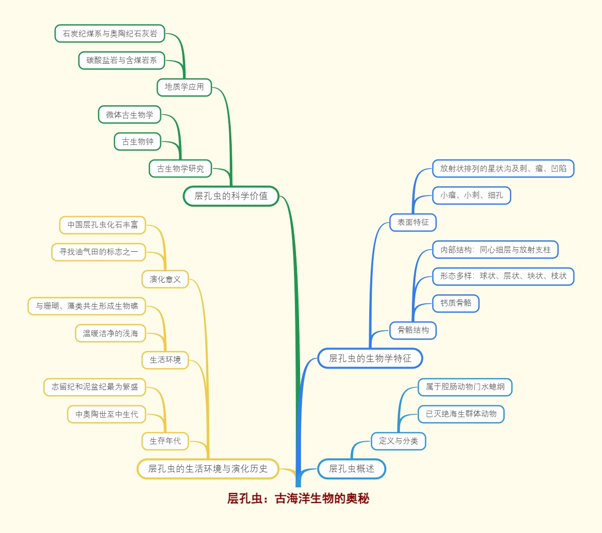 层孔虫：古海洋生物的奥秘