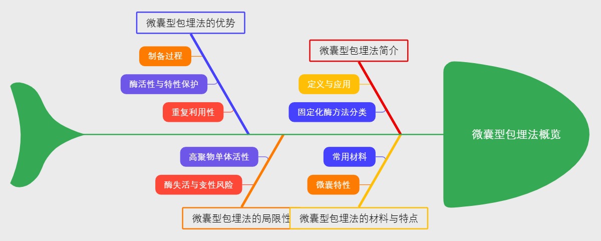 微囊型包埋法概览