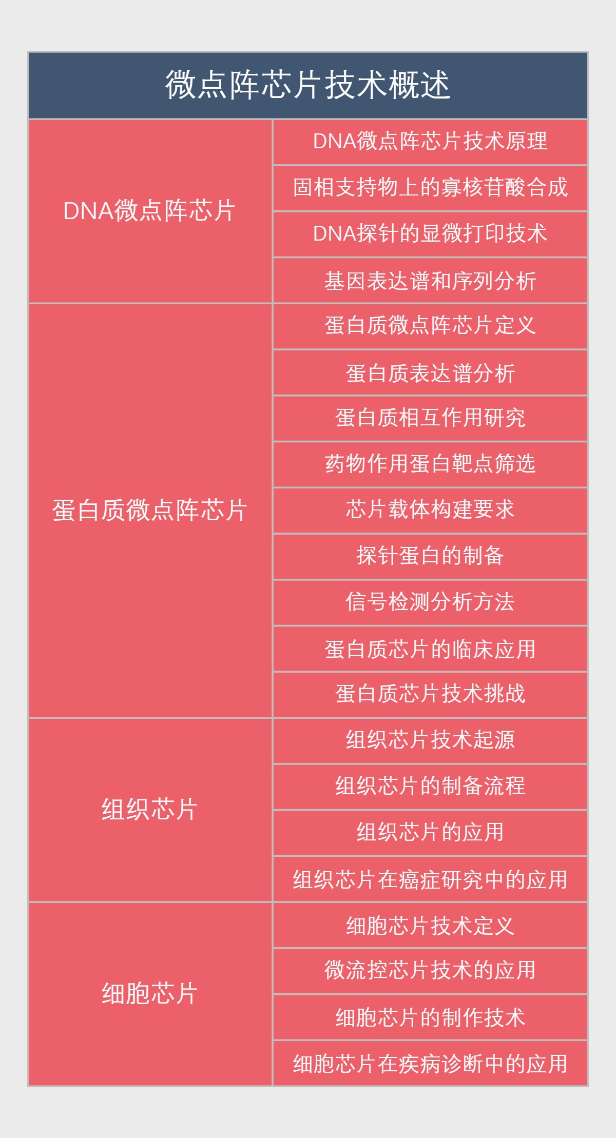 微点阵芯片技术概述