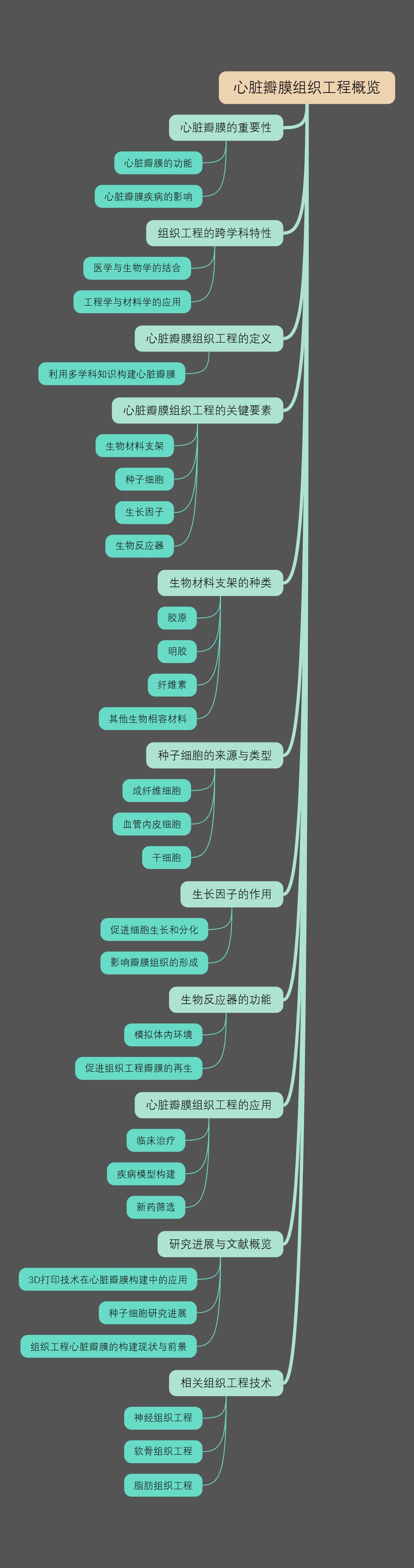 心脏瓣膜组织工程概览