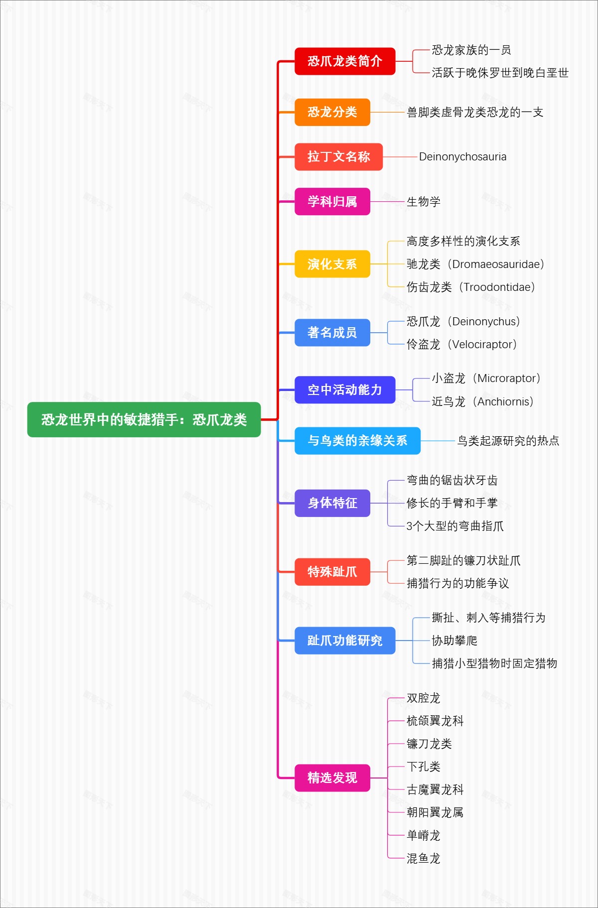 恐龙世界中的敏捷猎手：恐爪龙类