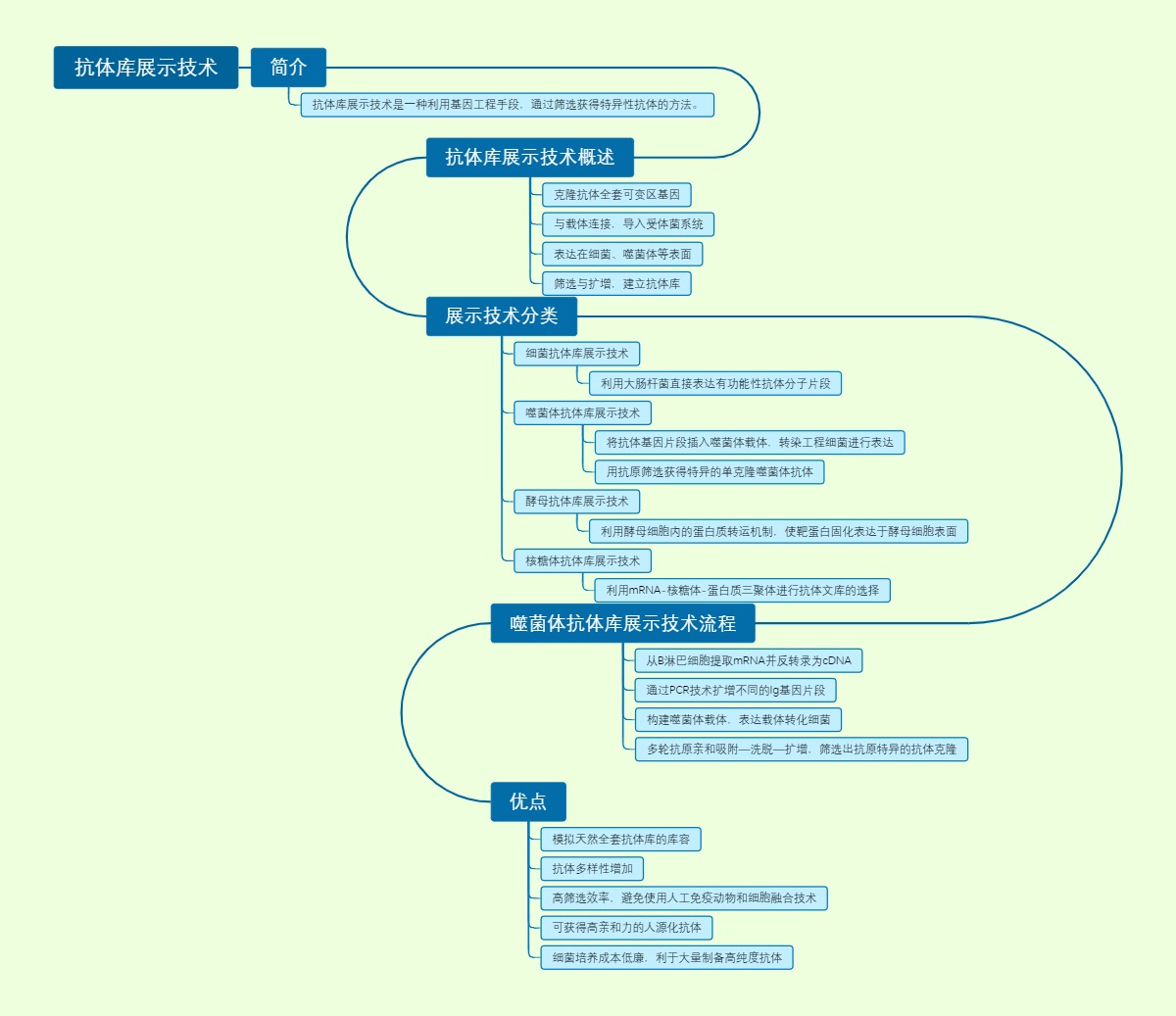 抗体库展示技术
