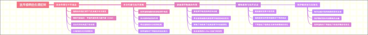 抗旱植物的生理机制