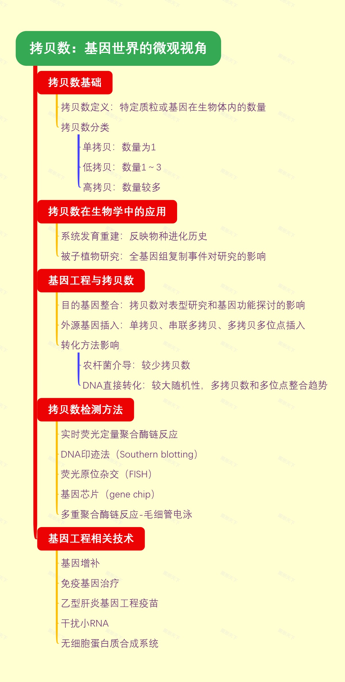 拷贝数：基因世界的微观视角