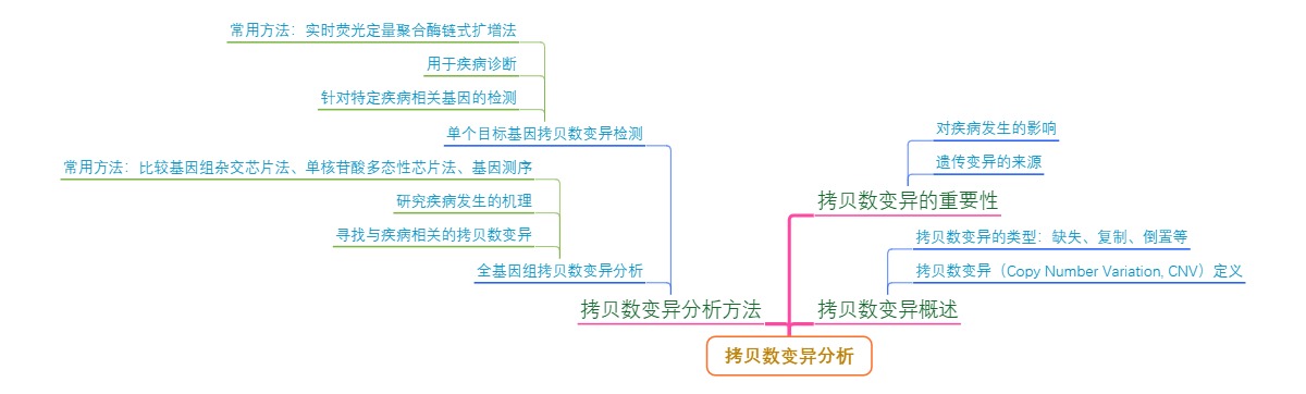 拷贝数变异分析