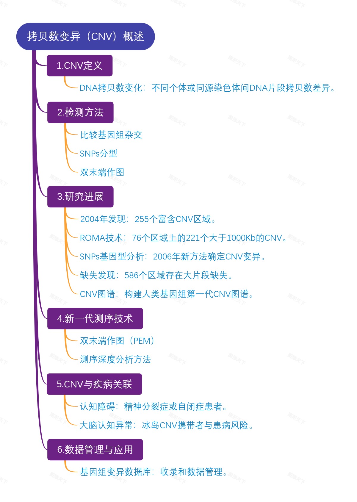 拷贝数变异（CNV）概述