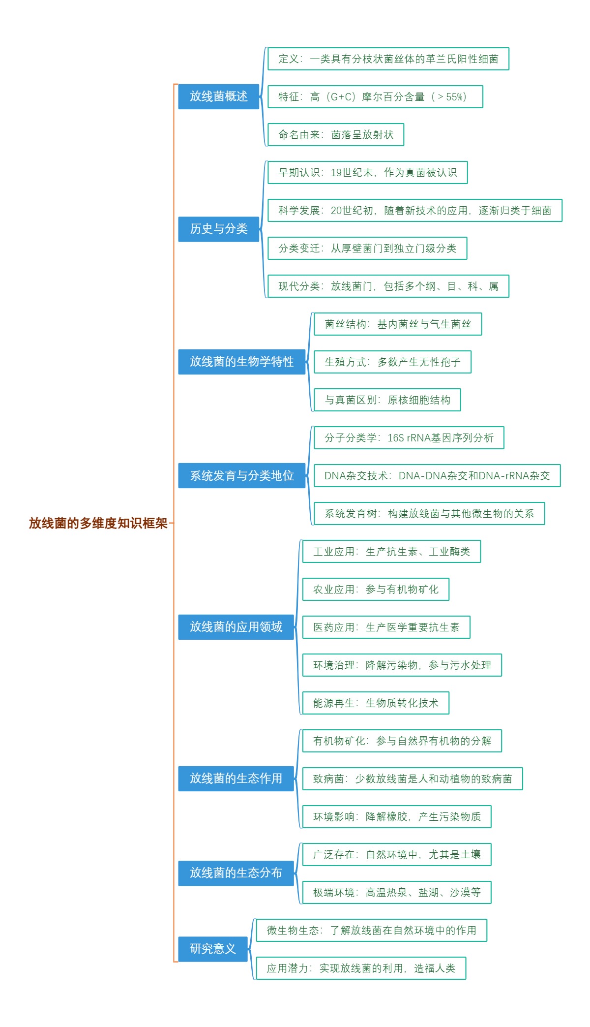 放线菌的多维度知识框架