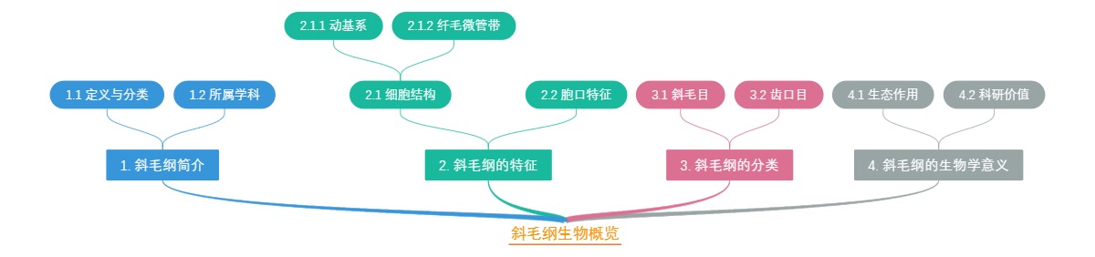 斜毛纲生物概览