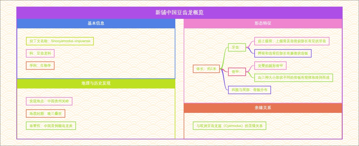 新铺中国豆齿龙概览