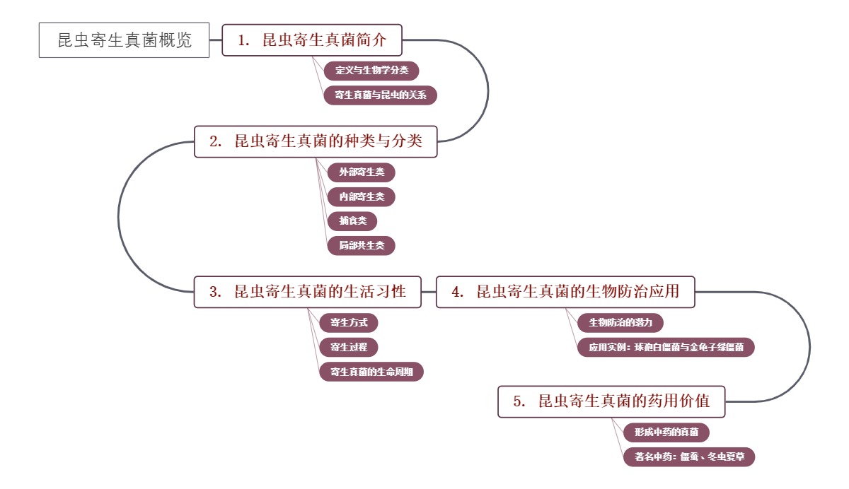 昆虫寄生真菌概览