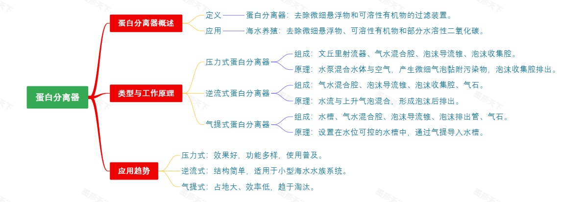 曲吻鳄：史前水下猎手的神秘世界